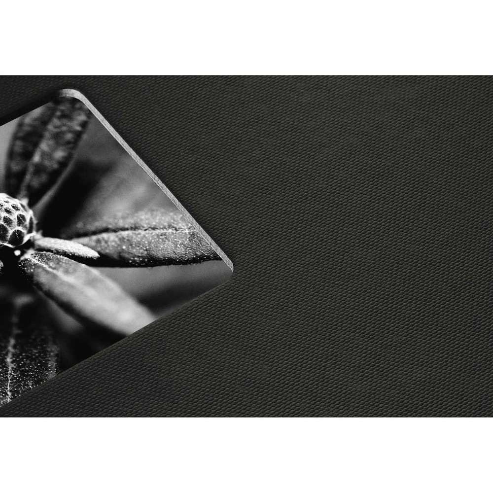 hama-fine-art-spiral-fotoalbum-24x17-cm-50-schwarze-seiten-pergamin-trennbl-tter image 5