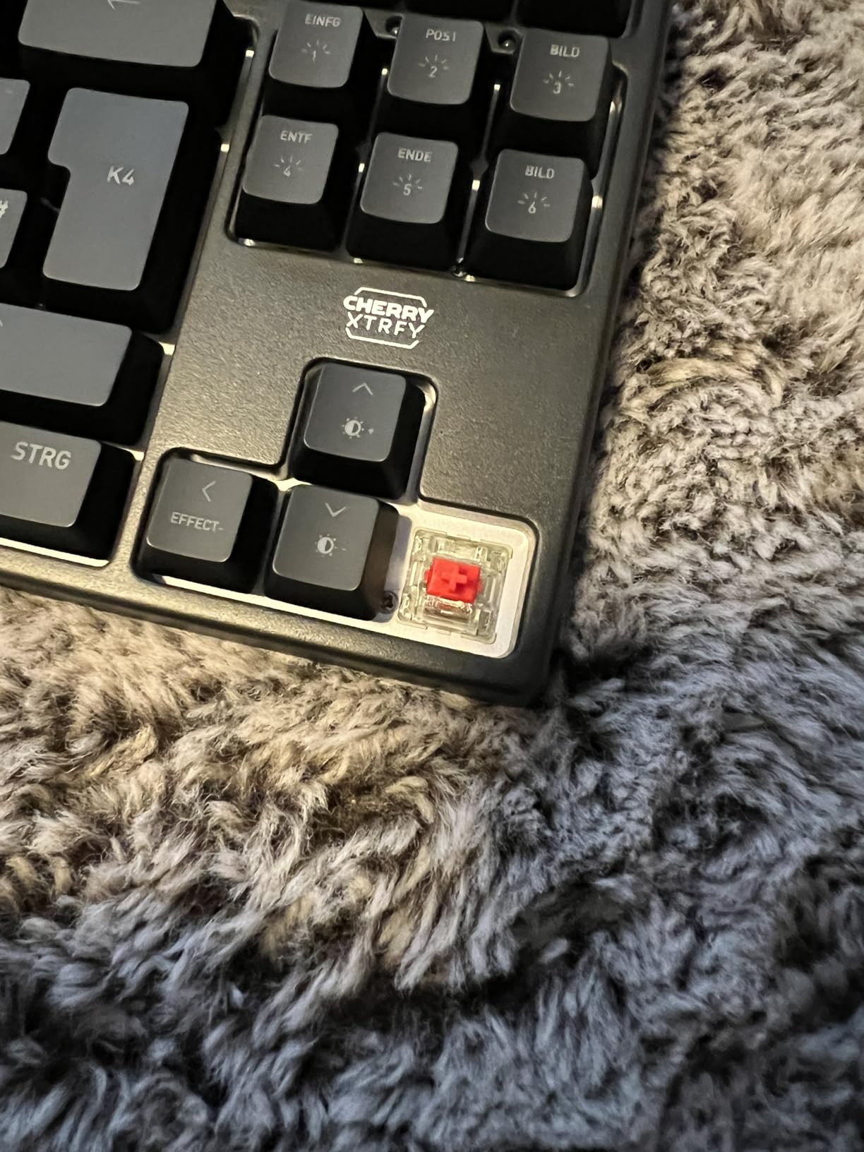 Softwarefrei – perfekt!