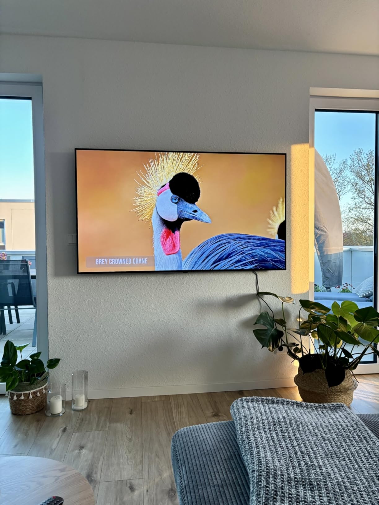 Preis-Leistung unschlagbar